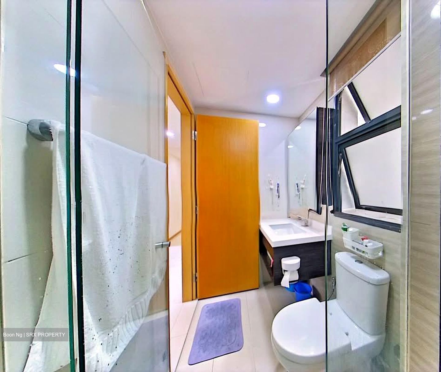Blossom Residences (D23), Condominium #577117821